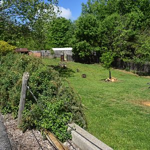 May. 2025 - Asia - Chacoan Peccary Exhibit