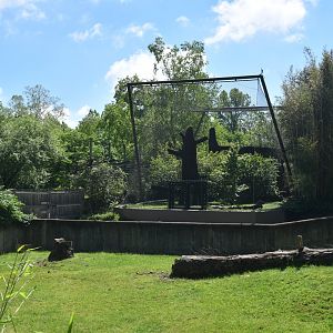 May. 2025 - Asia - Tiger Exhibit + Sichuan Takin/Reeve's Muntjac Exhibits