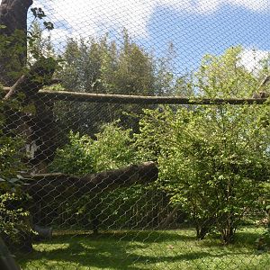 May. 2025 - Asia - Sumatran Tiger Exhibit (Expanded Side - Former Sun Bear)