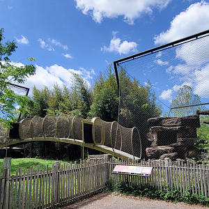 May. 2025 - Asia - Sumatran Tiger Exhibit (Former Amur Tiger Recently Combined With Former Sun Bear)