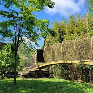 May. 2025 - Asia - Sumatran Tiger Exhibit (Former Amur Tiger Recently Combined With Former Sun Bear)