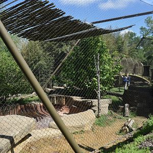 May. 2025 - Asia - Sumatran Tiger Exhibit (Left Side)