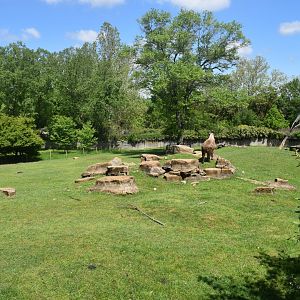 May. 2025 - Asia - Sichuan Takin & Reeve's Muntjac Exhibit