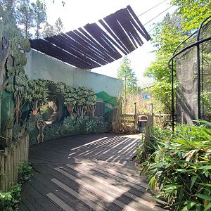 May. 2025 - Asia - Gibbon + Quail Exhibits