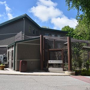 May. 2025 - Budgie Walkabout