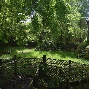 May. 2025 - Asia - Rhino Reserve - Indian Rhino Left Exhibit