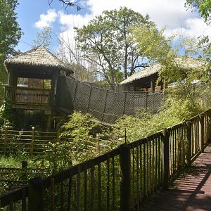 May. 2025 - Asia - Rhino Reserve - Indian Rhino Left Exhibit - Elevated View
