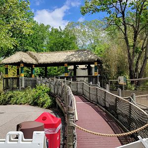 May. 2025 - Asia - Rhino Reserve - Indian Rhino Left Exhibit - Elevated View Ramp