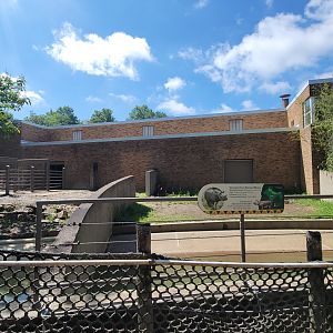 May. 2025 - Asia - Rhino Reserve - Indian Rhino Right Exhibit