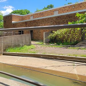 May. 2025 - Asia - Rhino Reserve - Indian Rhino Right Exhibit