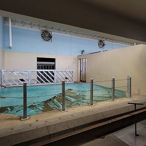 May. 2025 - Kley Memorial Building - Indian Rhino - Left Indoor Exhibit