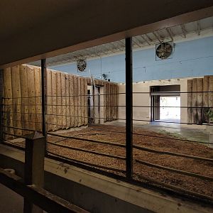 May. 2025 - Kley Memorial Building - Indian Rhino - Right Indoor Exhibit