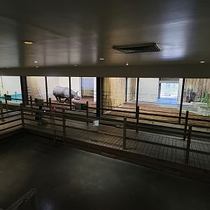 May. 2025 - Kley Memorial Building - Indian Rhino Indoor Exhibits