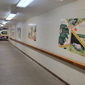 May. 2025 - Kley Memorial Building - Hallway to Indoor Rhino Exhibits