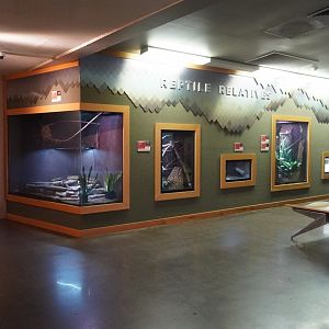 May. 2025 - Kley Memorial Building - Terrariums