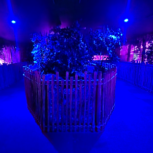 May. 2025 - Kley Memorial Building - Creatures of the Night