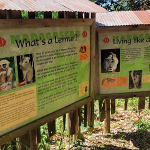 May. 2025 - Lemur Forest - Signage