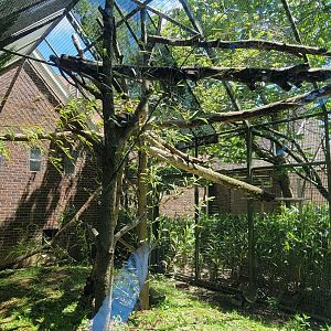 May. 2025 - Discovery Center - Red Panda Outdoor Exhibit
