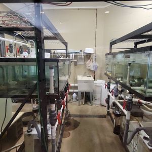 May. 2025 - Discovery Center - Hellbender Center