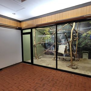 May. 2025 - Discovery Center - Red Panda Indoor Exhibit