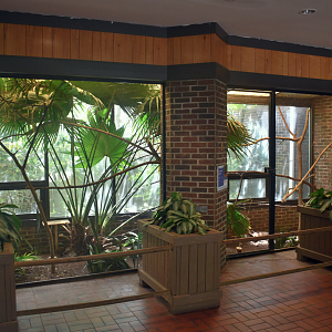 May. 2025 - Discovery Center - Crested Wood Partridge Exhibit