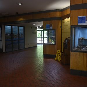 May. 2025 - Discovery Center - Tenrec + Tortoise Exhibit