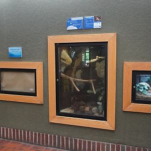 May. 2025 - Discovery Center - 3 Wall Exhibits