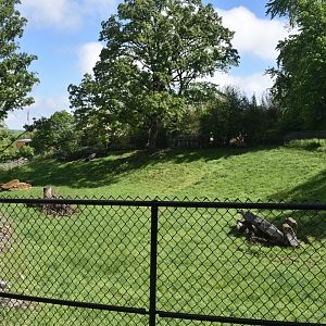 May. 2025 - African Rift Valley - Sitatunga Exhibit