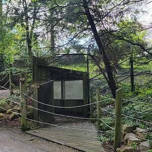 May. 2025 - North America - Mexican Wolf Viewing