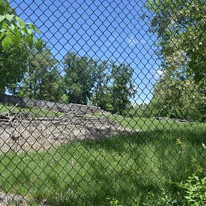 May. 2025 - African Panorama - Abyssinian Ground Hornbill, Greater Kudu, Common Ostrich Exhibit