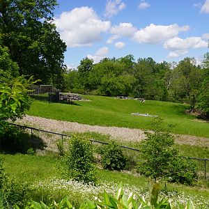 May. 2025 - African Panorama - Abyssinian Ground Hornbill, Greater Kudu, Common Ostrich Exhibit