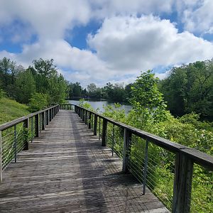 May. 2025 - Trail to African Panorama