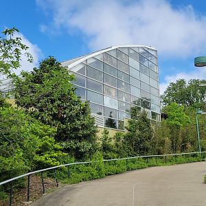 May. 2025 - Amazonia: Forest of Riches - Exterior