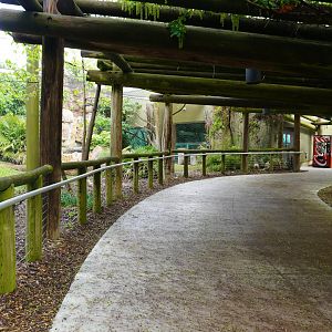 May. 2025 - Amazonia: Forest of Riches - Goldman's Jaguar Exhibit Viewing