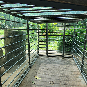 May. 2025 - Amazonia: Forest of Riches - Jaguar Trap Viewing