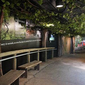 May. 2025 - Amazonia: Forest of Riches - Amazon Impact Wall