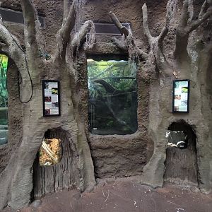 May. 2025 - Amazonia: Forest of Riches - Terrariums