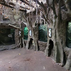 May. 2025 - Amazonia: Forest of Riches - Terrariums