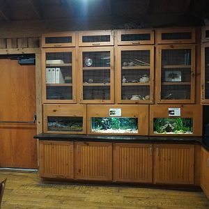 May. 2025 - Amazonia: Forest of Riches - Researcher's Hut - Tanks