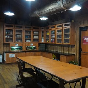 May. 2025 - Amazonia: Forest of Riches - Researcher's Hut