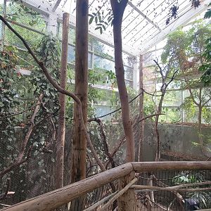 May. 2025 - Amazonia: Forest of Riches - Black Howler Monkey & Squirrel Monkey Exhibit
