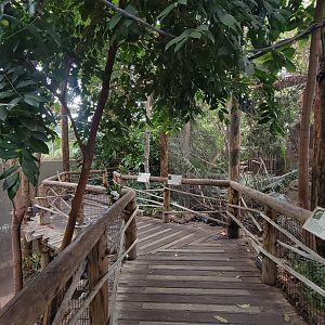 May. 2025 - Amazonia: Forest of Riches - First Look