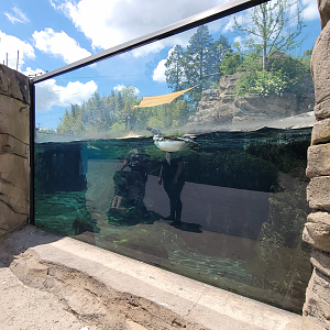 May. 2025 - Penguins of Patagonia