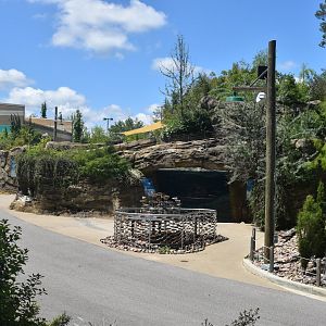 May. 2025 - Penguins of Patagonia