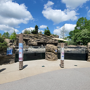 May. 2025 - Penguins of Patagonia