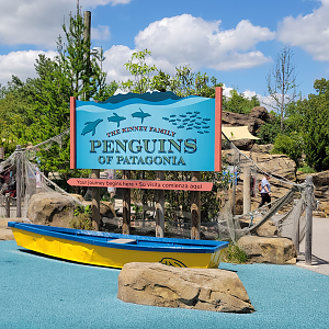 May. 2025 - Penguins of Patagonia