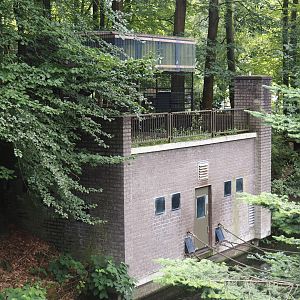 Colombian black spider monkey house and separation cage, 2024-08-18