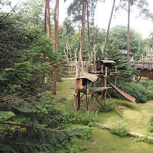 Colombian black spider monkey and Capybara exhibit, 2024-08-18