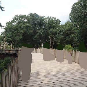 Boardwalk between Capybara and Colombian black spider monkey exhibit and Bonobo island, Colombian black spider monkey and Capybara exhibit, 2024-08-18