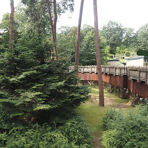Colombian black spider monkey and Capybara exhibit, 2024-08-18